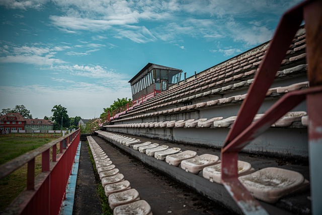 生李欣宜 生李欣宜