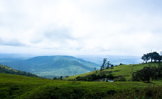 个标杆式案 个标杆式案