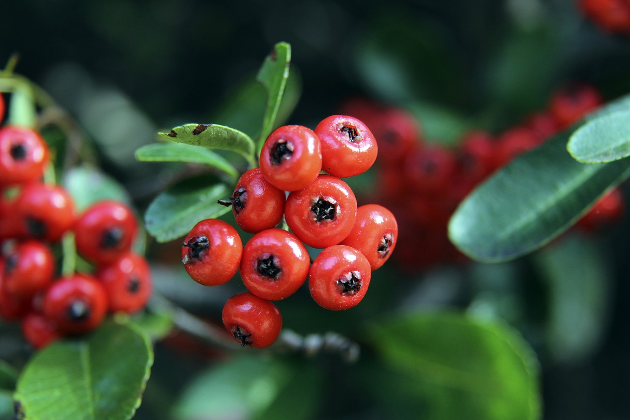 他的高效得 他的高效得