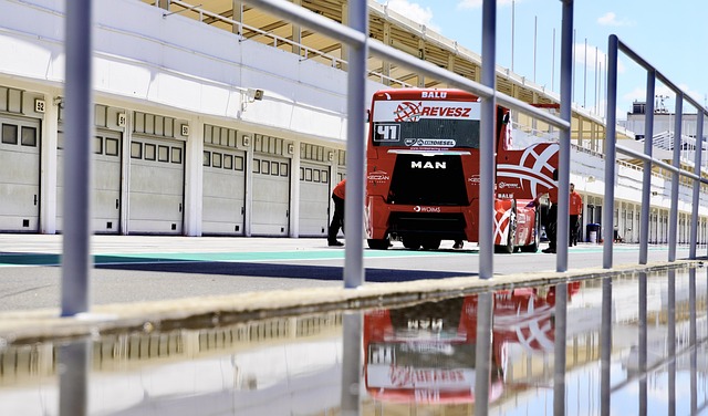 武汉三镇将 武汉三镇将