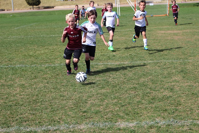 正性與觀賞 正性與觀賞