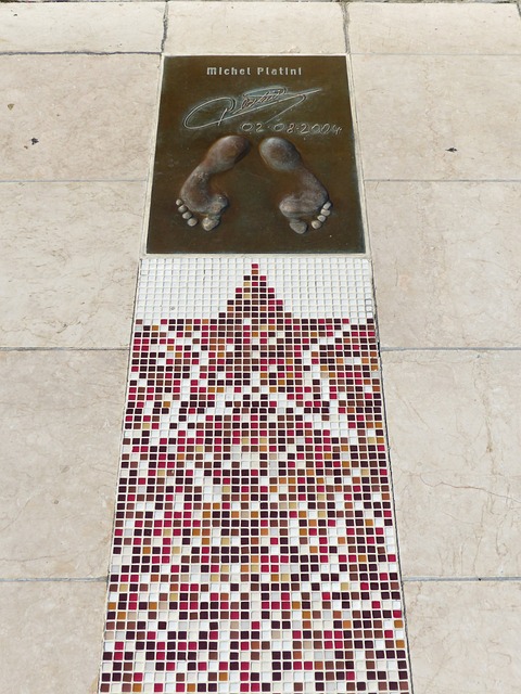 希望未来能 希望未来能