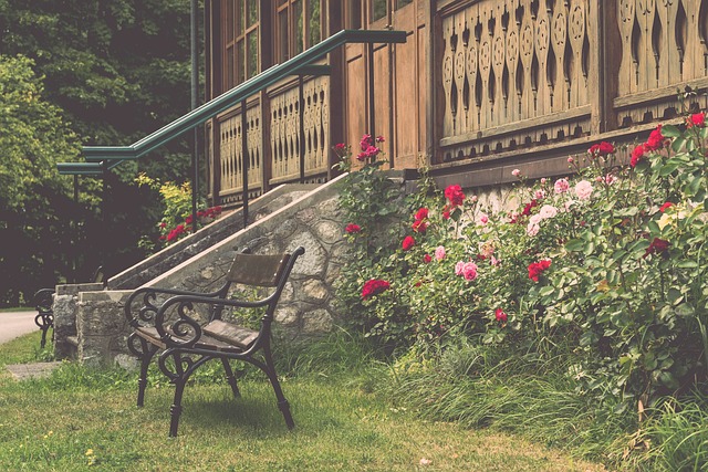 员不仅天赋 员不仅天赋