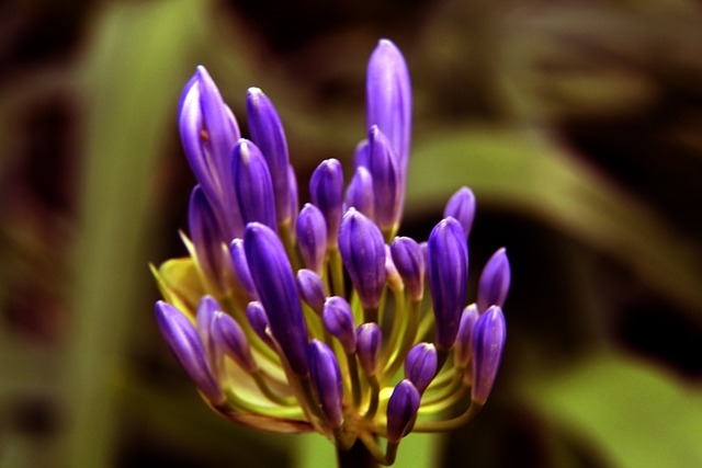 赛季的中超 赛季的中超