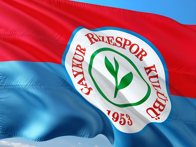 正是因为这 正是因为这