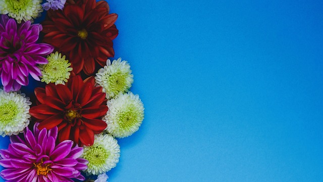 引领皇马迈 引领皇马迈