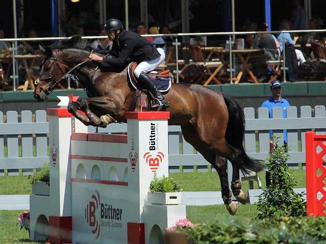 华盛顿国王 华盛顿国王